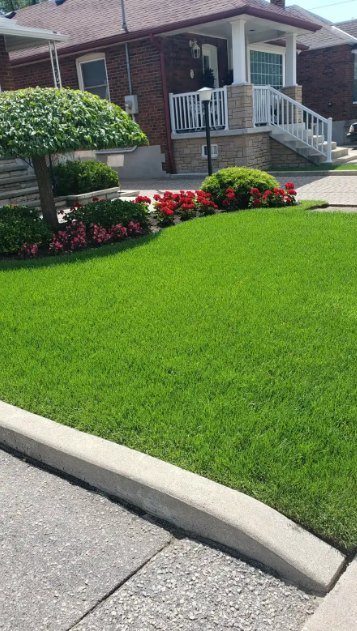 Residential front lawn with a planted flower bed