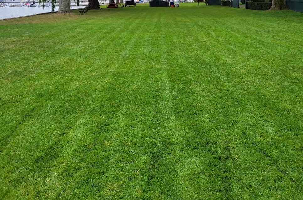 Striped lawn on a waterfront property in Toronto
